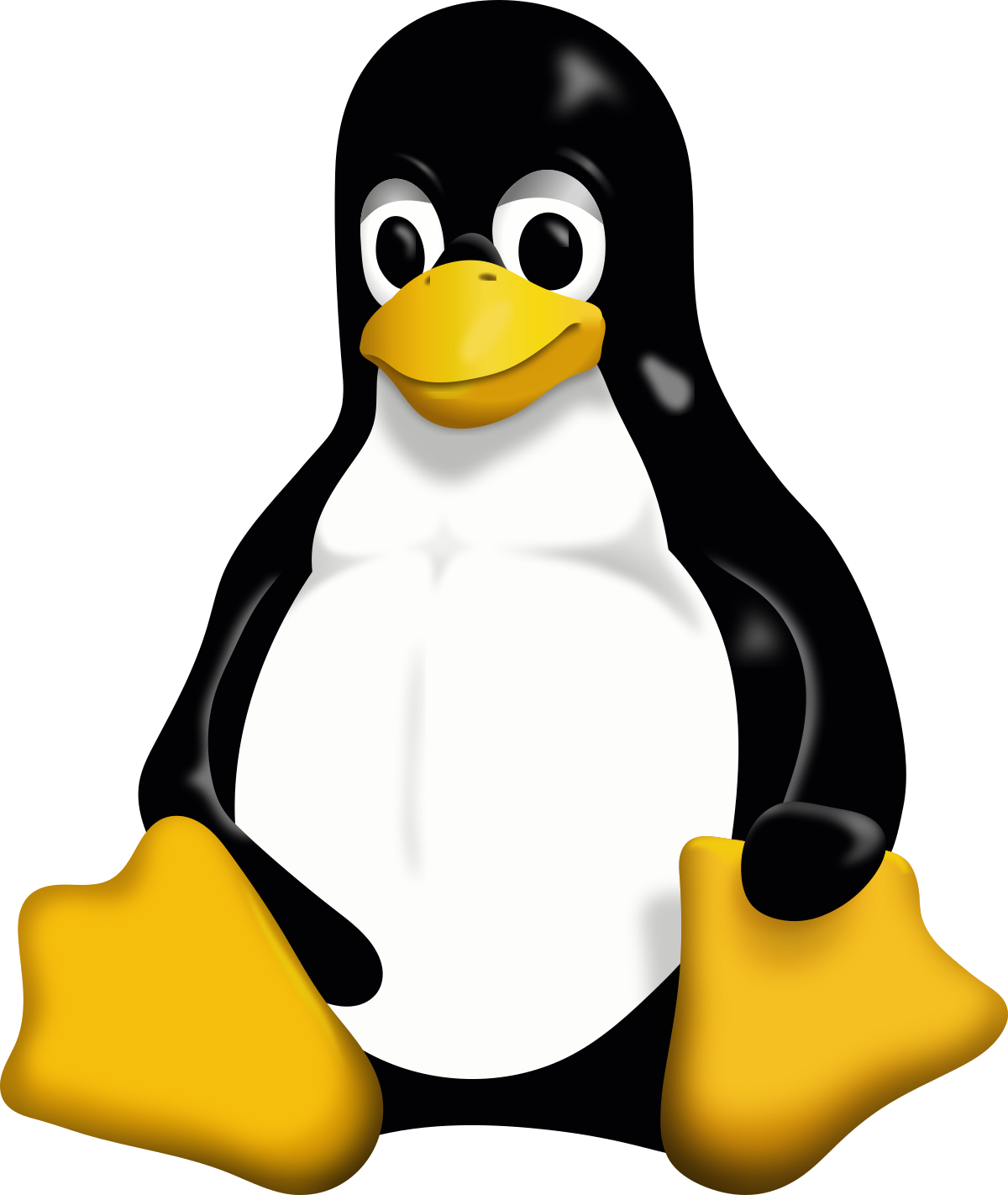 web-development